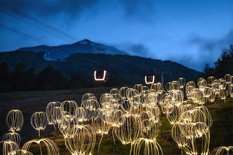 Mountain Lights illuminated trail